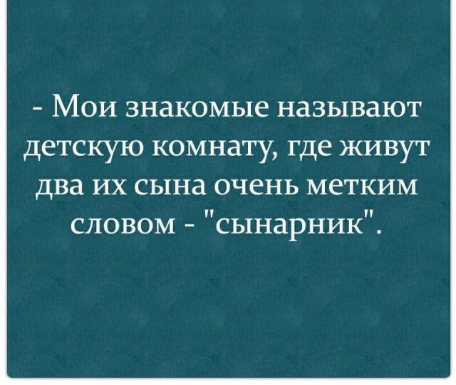 Мои знакомые называют детскую комнату где живут два их сына очень метким словом сынарник