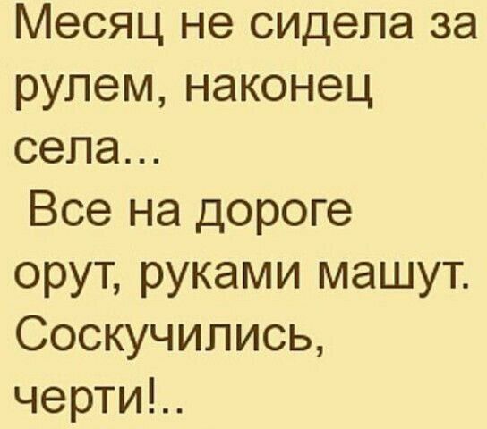 Месяц не сидела за рулем наконец села Все на дороге орут руками машут Соскучились чертид