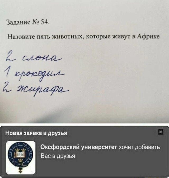 Задание 54 Назовите пять животных которые живут в Африке Новия цинка в при Оксфордский университет хочет добавить Вас в друзья