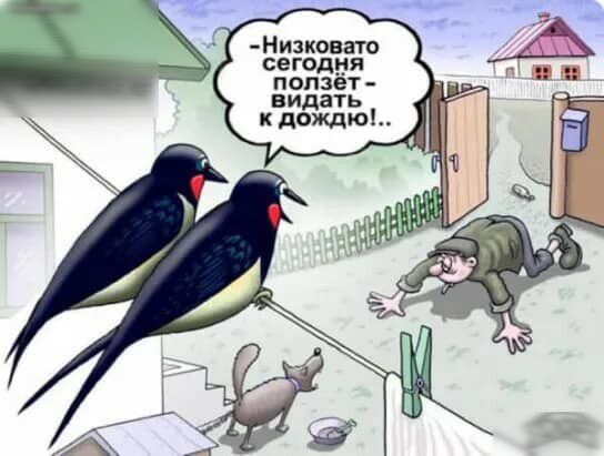 Низковато сегодня ползет видать