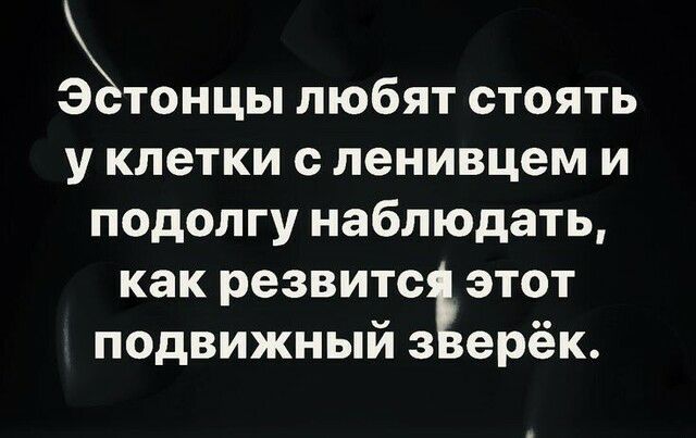 зтонцы любят стоять у клетки с ленивцем и подолгу наблюдать как резвитсЪэтот подвижный з ерёк