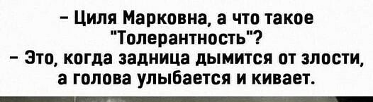 Циля Марковна а что такое Толерантность Это когда задница дымится от злости а голова улыбается и кивает