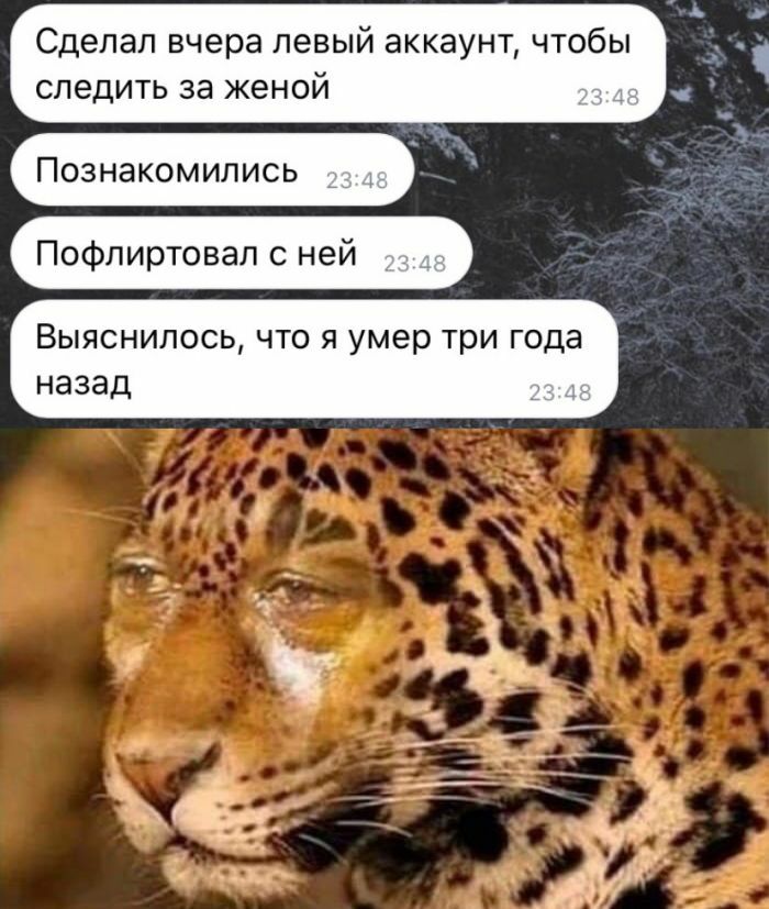 Сделал вчера левый аккаунт чтобы следить за ЖЭНОЙ _Т 3 Познакомились _ _ Пофпиртовал с ней _ Выяснилось что я умер три года назад