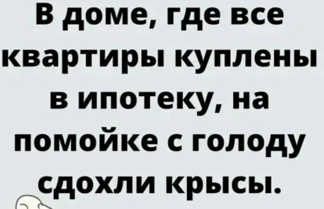 В доме где все квартиры куплены в ипотеку на помойке с голоду рЕдохли крысы