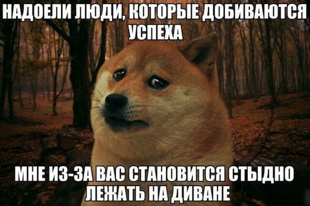 нддоши пюдииотогындовивдютси г Ёепш МНЕ ИЗ Зд ВМ ВТАНВВИТВЯ стыдно ЩЕЖМЬ нп дИШШЕ