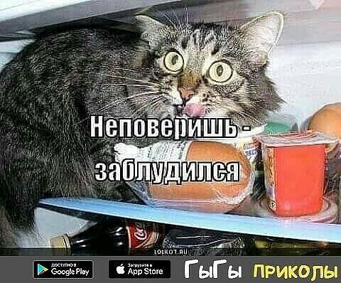 Г ыГ ы прикапы
