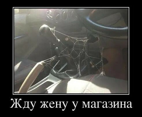 Жду жену у магазина