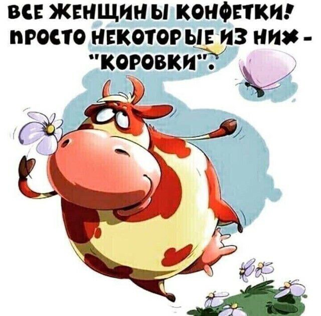 ВСЕ ЖЕНЩИН Ы КОНФЕТКИ ПРОСТО НЕКОТОР Ы ИЗ НИЗ КОРОВКИ