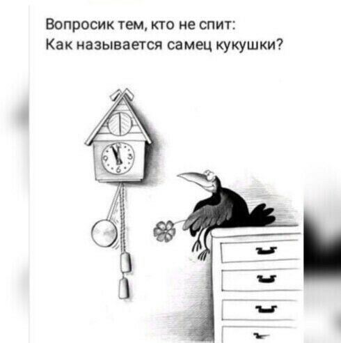 Вопросик тем кто не спит Как называется самец кукушки