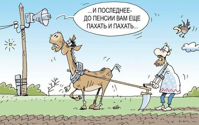 и последнее до пенсии ВАМ ЕЩЕ пдхмь и ПАХАТЬ
