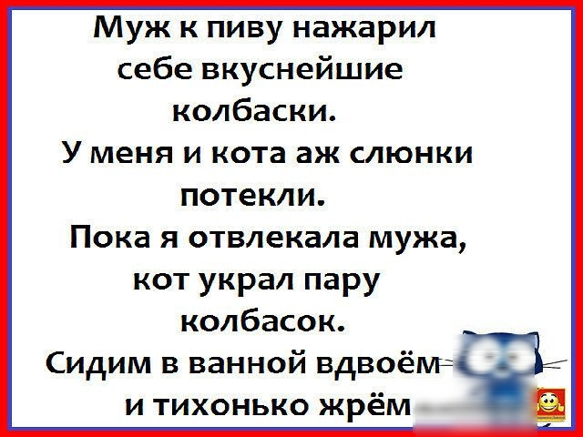 Муж к пиву нажарил себе вкуснейшие колбаски У меня и кота аж слюнки потекли Пока я отвлекала мужа кот украл пару колбасок Сидим в ванной ВдВОёШР и тихонько жрём