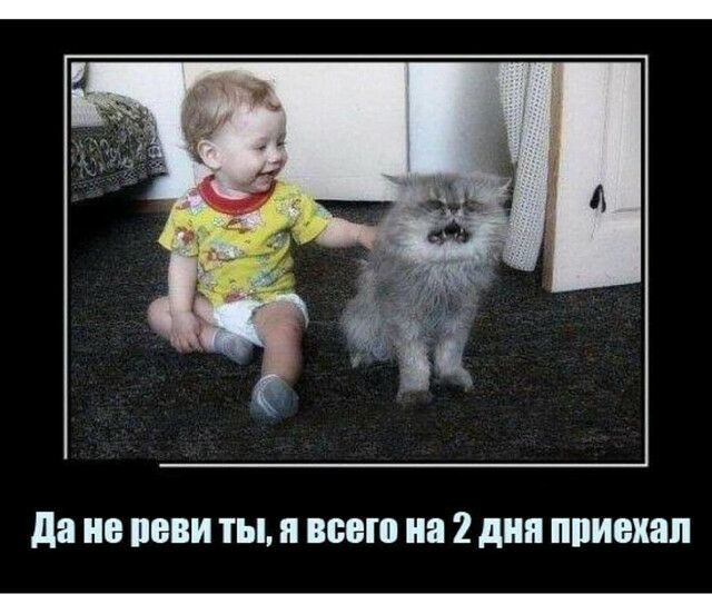 да ПЕВИ ты п всего на 2 дня ППИШШП