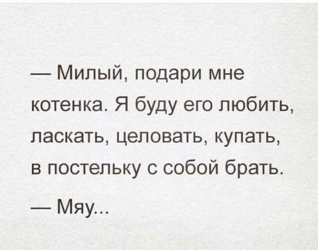 Милый подари мне котенка Я буду его любить ласкать целовать купать в постельку с собой брать Мяу