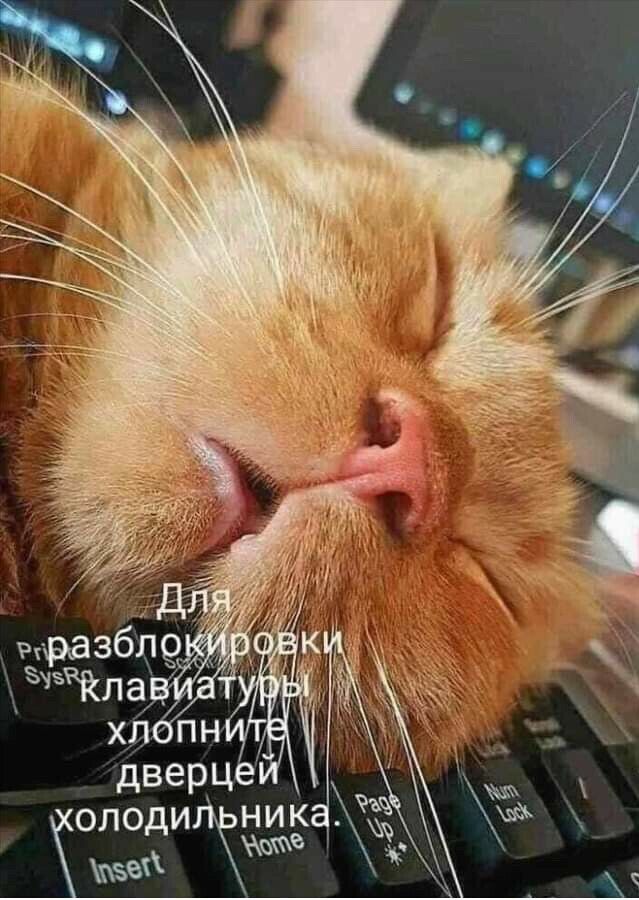 КОЛОДИ