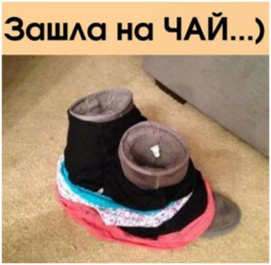 Защш на ЧАЙ