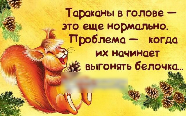 Тараканы в голове это еще нормально Проблема когда их начинает выгонять белочка