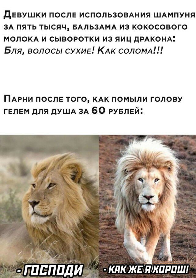 девушки после использовшия ШАмпуня ЗА пять тысяч БАЛЬЗАМА из кокосового МОЛОКА и сыворотки из яиц дРАКОНА Бля волосы сухие КАК СОЛОМА ПАРНИ после того КАК помыли голову гелем для дУША ЗА 60 РУБЛЕЙ дгддппди кдкжг яхпппш