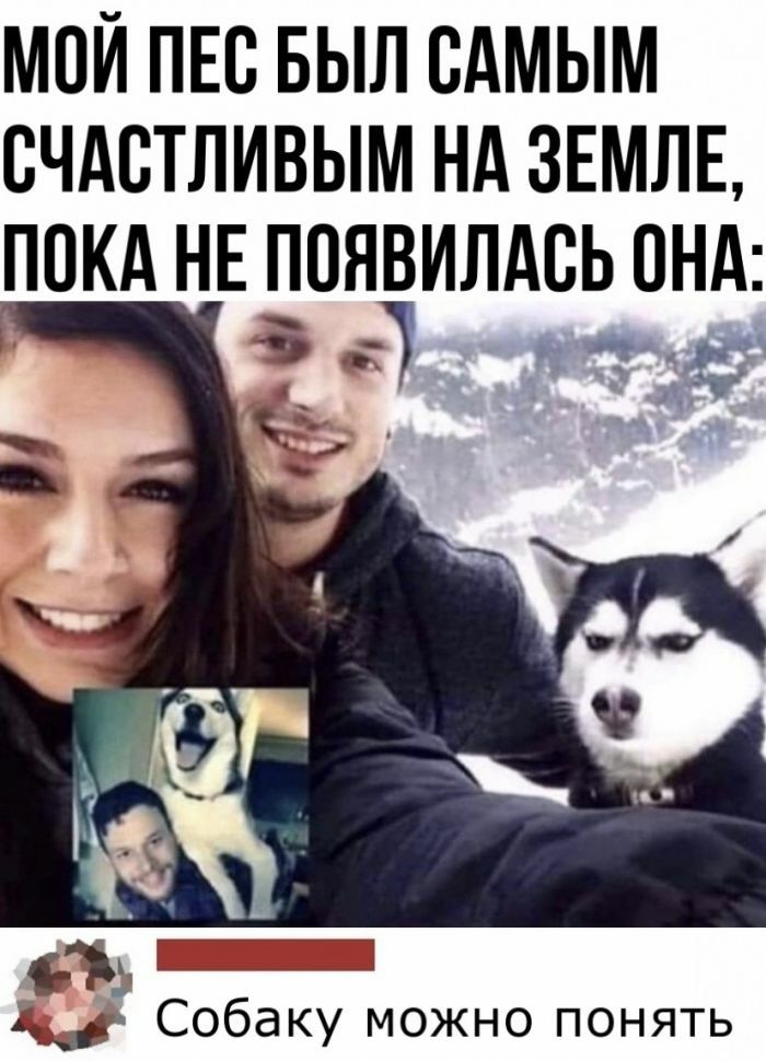 МСЙ ПЕС БЫЛ САМЫМ СЧАСТЛИВЫМ НА ЗЕМЛЕ ПСКА НЕ ПСНЁИЛАСЬ СНА дд Собаку можно понять