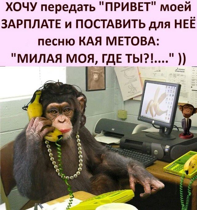 ХОЧУ передать ПРИВЕТ моей ЗАРПЛАТЕ и ПОСТАВИТЬ для НЕЁ песню КАЯ МЕТОВА _ МИЛАЯ моддЕ тыл _ Й