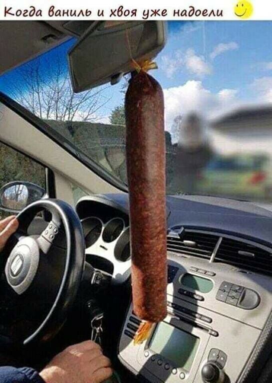 Когда даним и хвоя уже надоели