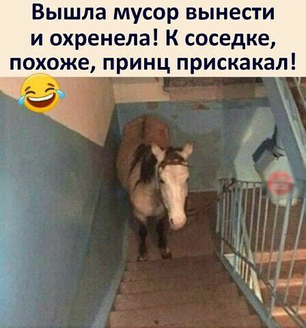 Вышла мусор вынести и охренела К соседке похоже принц прискакал