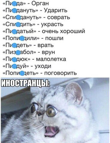 Пу да Орган Пу дануть Ударить Спи дануть соврать Спи дить украсть Пу датый очень хороший Попи циями пошли Пу деть врать Пиз_ эбол врун Пу дюк малолетка Пу дуй уходи Попи деть поговорить