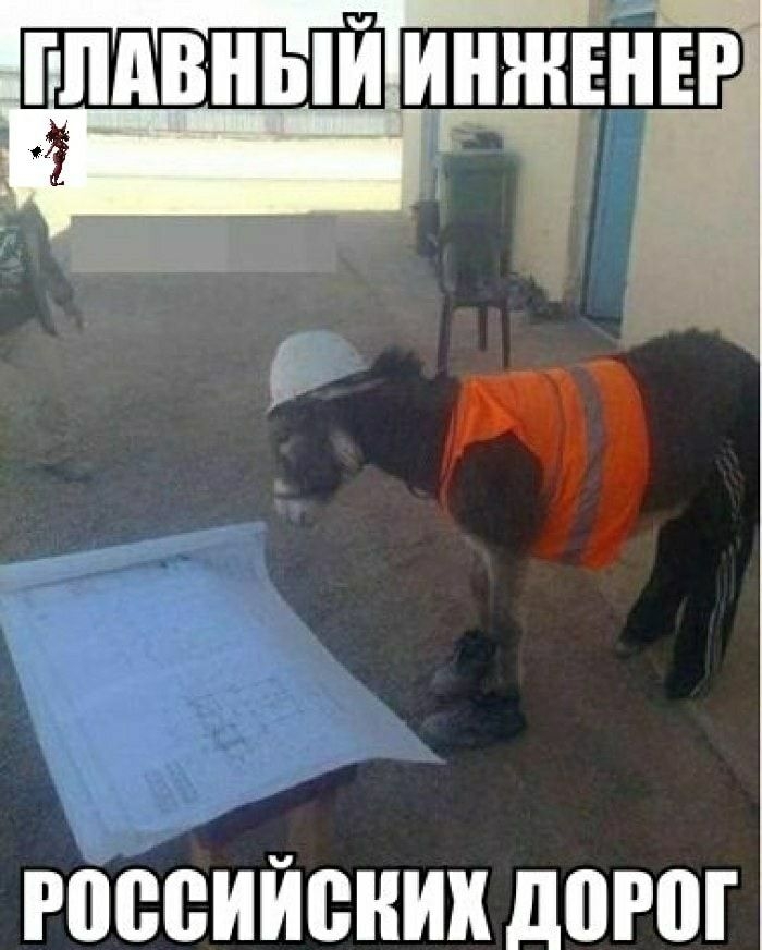 РВВВИЙВНИХ дПРШ