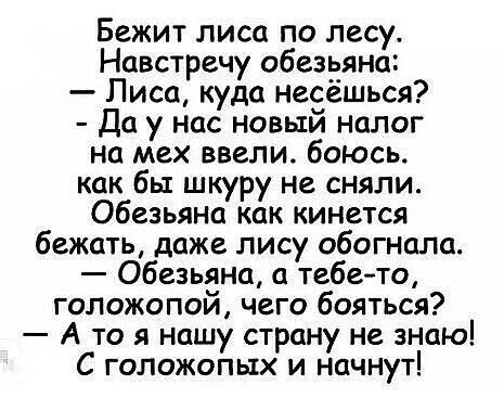 Бежит лиса по лесу Навстречу обезьяна Лиса куда несёшься Да у нас новый налог на мех ввели боюсь как бы шкуру не сняли Обезьяна как кинется бежать даже лису обогнала Обезьяна тебето голожопой чего бояться А то я нашу страну не знщ о С гопожопых и начнут