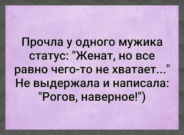 Прочла у одного мужика статус Женат но все равно чего то не хватает Не выдержала и написала Рогов наверное