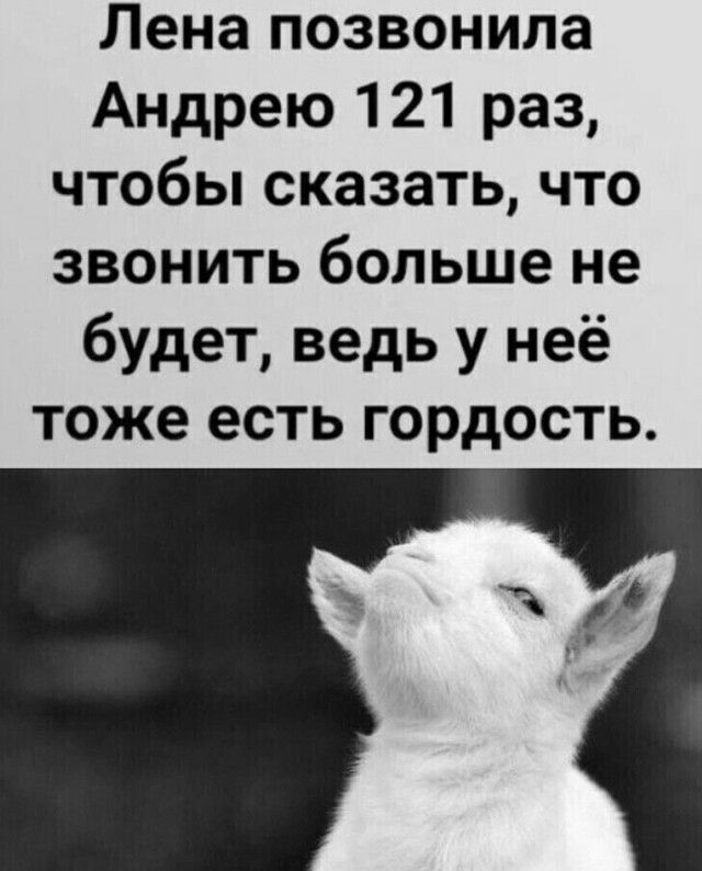 Лена позвонила Андрею 121 раз чтобы сказать что звонить больше не будет ведь у неё тоже есть гордость
