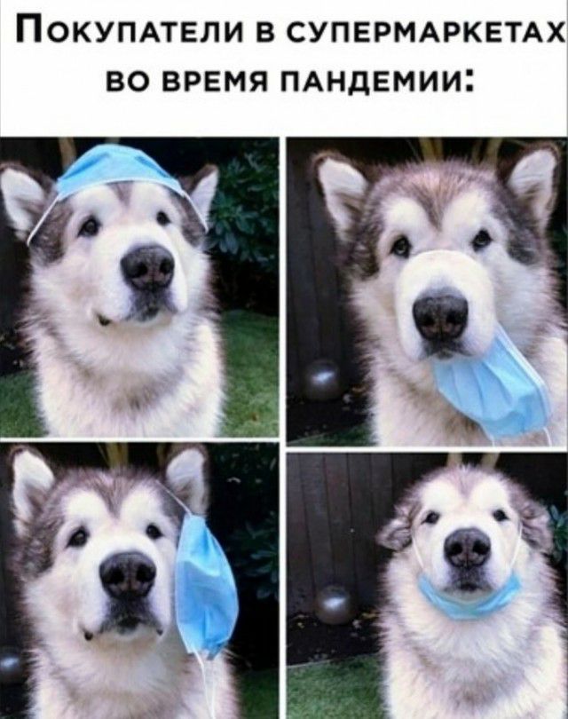 ПОКУПАТЕЛИ В СУПЕРМАРКЕТАХ ВО ВРЕМЯ ПАНДЕМИИ