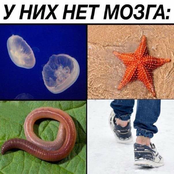 уних НЕТ МОЗА