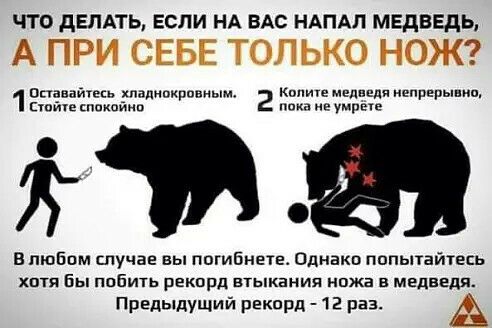 ЧТО дЕЛАТЬ ЕСЛИ НА ВАС НАПАЛ МЕДВЕДЬ Опвваитесн падивкрпвиым гкопиге мвдивпя непрерывно пипе кппкоинп г умпые за в любим шучае вы погибнвта Однако попытайтесь хотя Бы ппбшь рекпрд втыкания ножа на медведя Предыдущий рекорд 12 раз