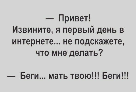 Привет Извините я первый день в интернете не подскажете что мне делать Беги мать твою Беги