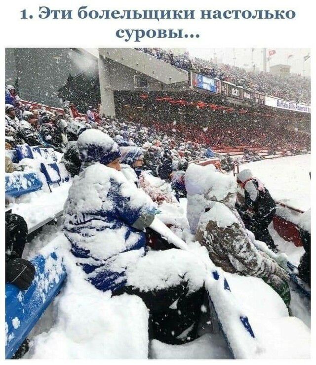 1 Эти болельщики настолько суровы