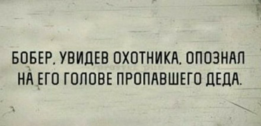 БО__БЕР УВИДЕВ ОХОТНИКА ОПОЗНАП НА __ЕГО ГОЛОВЕ ПРОПАВШЕГО ЦЕНА