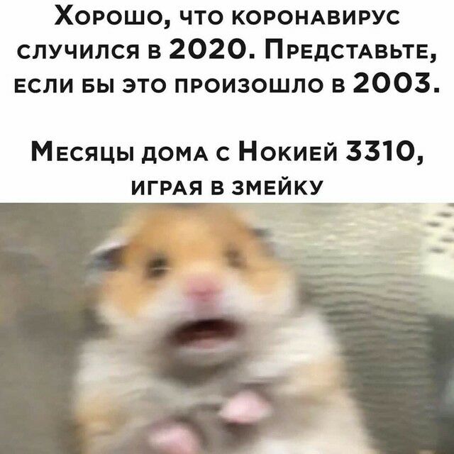 Хорошо что корощвирус случился в 2020 ПРЕДСТАВЬТЕ если вы это произошло в 2003 Месяцы дОМА с Нокивй 3310 ИГРАЯ в змвйку
