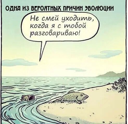 ОДИН ИЗ ВЕРОПТПЫХ ПРИЧИН ЭВОЛЮЦИИ Не смей уходимш когда я с модой разгобармбаю