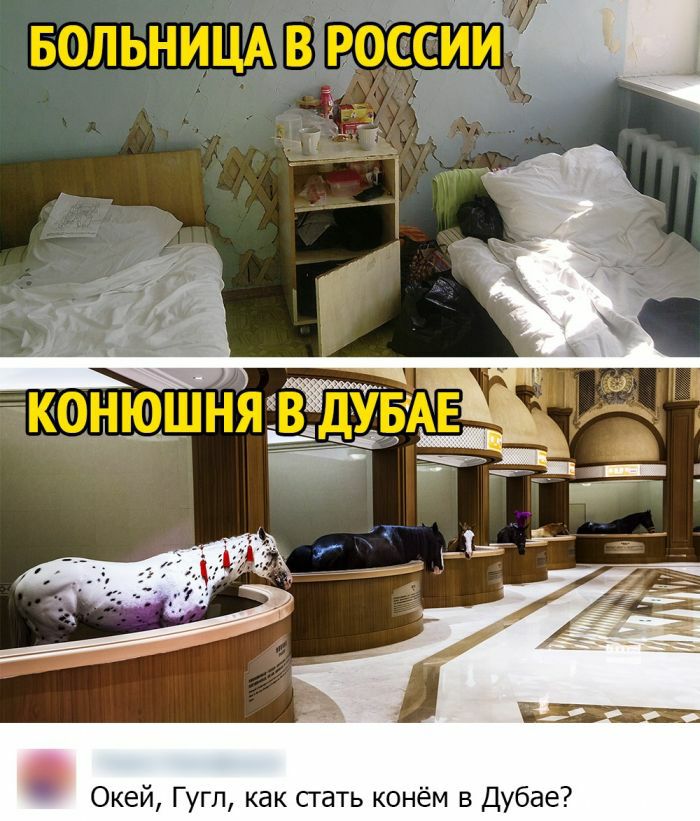 Окей Гугл как сгать конём в Дубае