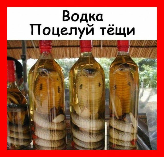 Водуа __ Поцелуи тещи