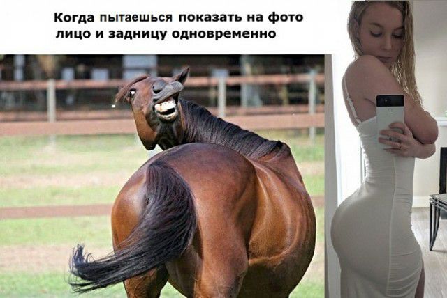 Когда пытаешься показать на фото ЛИЦО И задницу вдионремеиио
