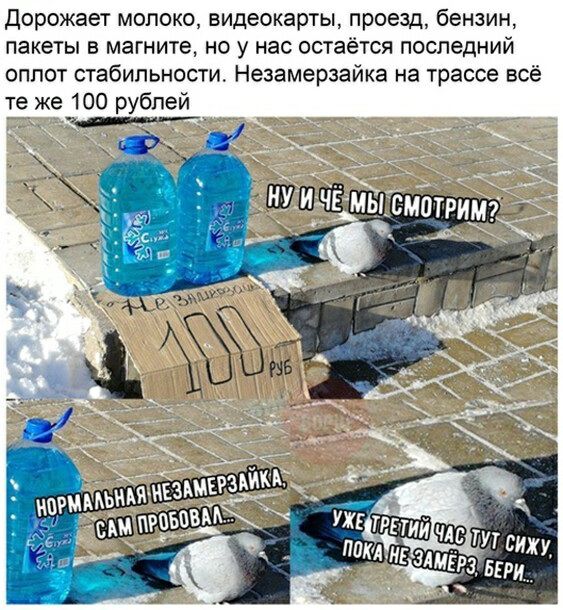 Дорожает молоко видеокарты проезд бензин пакеты в магните но у нас остаётся последний оплот стабипьностш Незамерзайка на трассе всё те же 100 рубпей