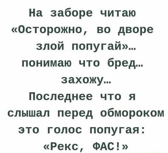 На заборе читаю Осторожно во дворе злой попугай понимаю что бред захожу Последнее что я слышал перед обмороком это голос попугая Рекс ФАС
