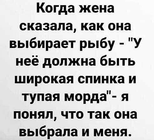 Когда жена сказала как она выбирает рыбу У неё должна быть широкая спинка и тупая морда я понял что так она выбрала и меня