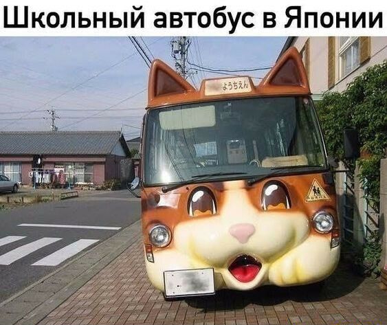 Школьный автобус в Японии 1
