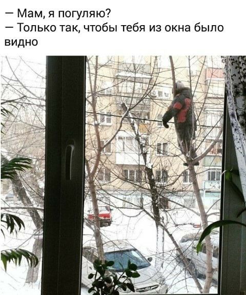 Мам я погупяю _ ТОЛЬКО ТЗК ЧТОБЫ тебя ИЗ окна было видно