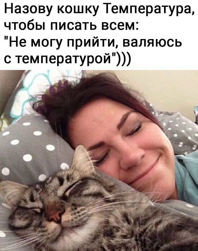 Назову кошку Температура чтобы писать всем Не могу прийти валяюсь с температурой