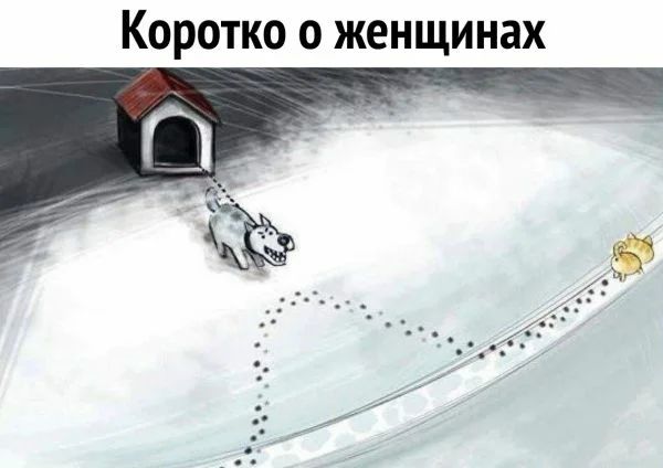Коротко о женщинах