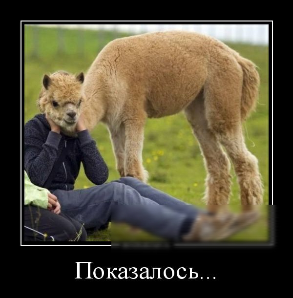 Показалось