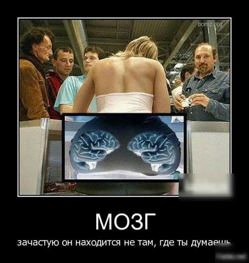 МОЗГ зачастую он находите не там где ты думаешь